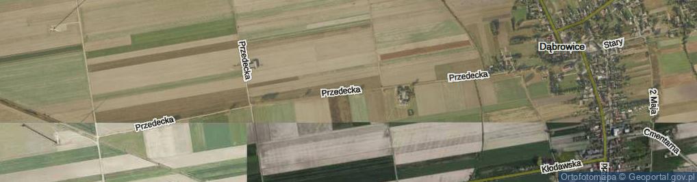 Zdjęcie satelitarne Przedecka ul.