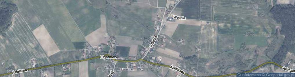 Zdjęcie satelitarne Przyjazna ul.