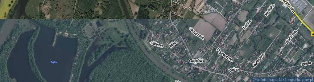 Zdjęcie satelitarne Przyjazna ul.