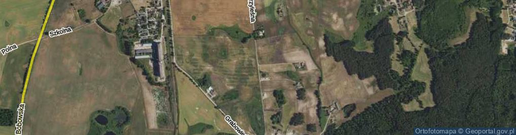 Zdjęcie satelitarne Przyleśna ul.