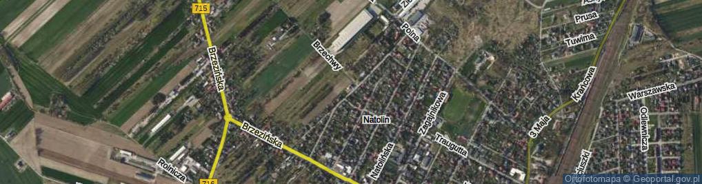 Zdjęcie satelitarne Próchnika Adama ul.