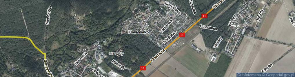 Zdjęcie satelitarne Przyjaciół Dzieci ul.