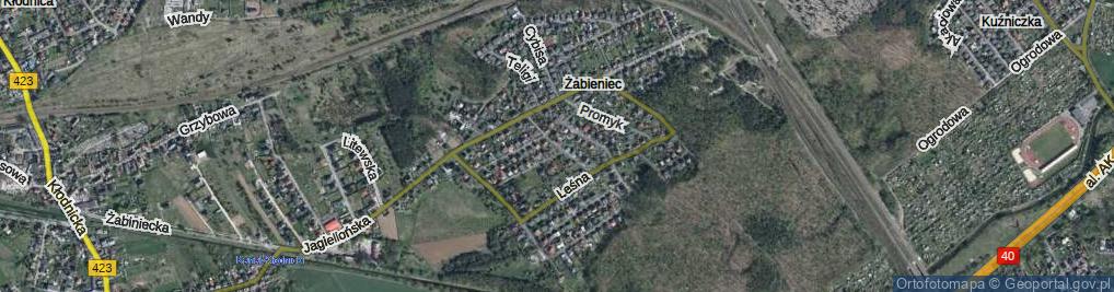 Zdjęcie satelitarne Przedwiośnie ul.