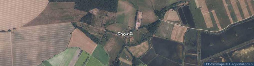 Zdjęcie satelitarne Przygorzele ul.