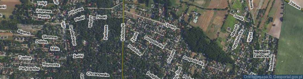 Zdjęcie satelitarne Przyszłości ul.