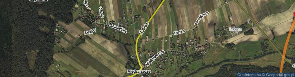 Zdjęcie satelitarne Przeczna ul.