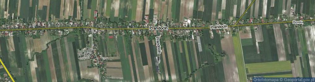 Zdjęcie satelitarne Prandocin ul.