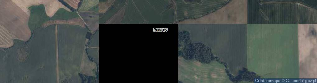 Zdjęcie satelitarne Protajny ul.