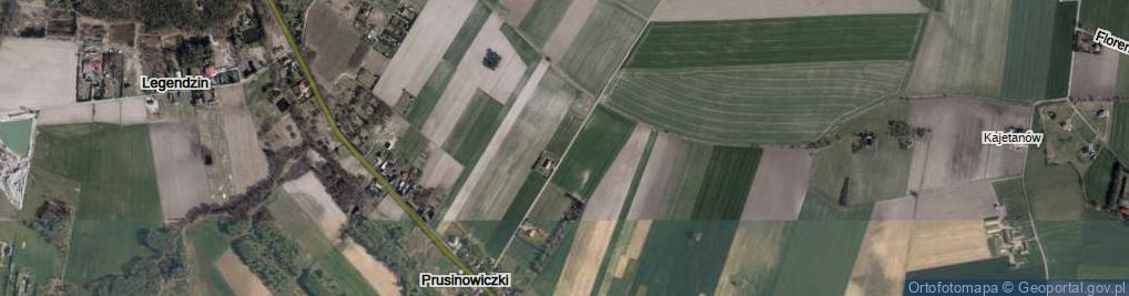 Zdjęcie satelitarne Prusinowiczki ul.