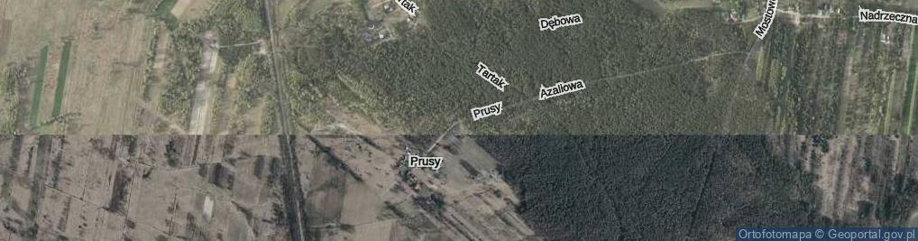 Zdjęcie satelitarne Prusy ul.