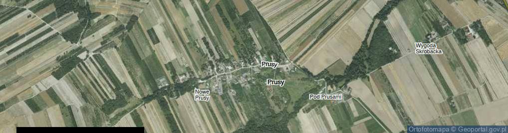 Zdjęcie satelitarne Prusy ul.