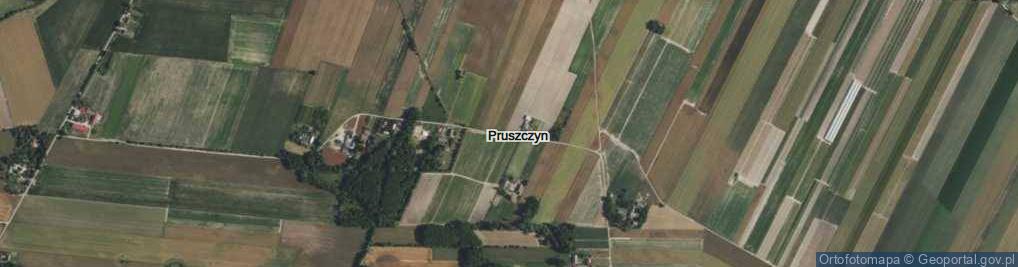 Zdjęcie satelitarne Pruszczyn ul.