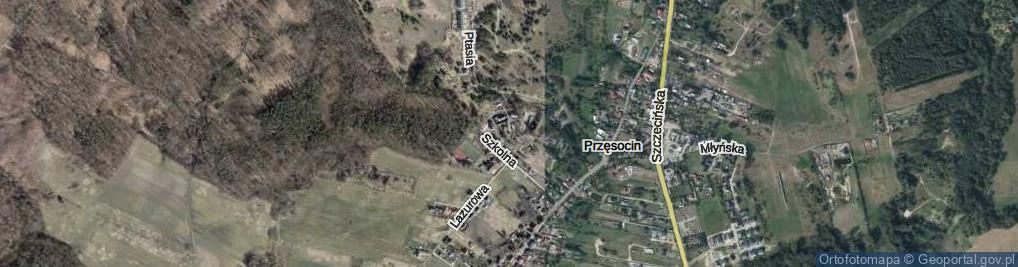 Zdjęcie satelitarne Przęsocin ul.