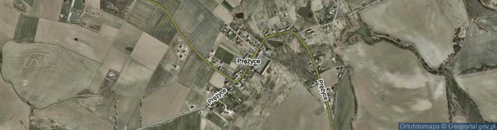 Zdjęcie satelitarne Prężyce ul.