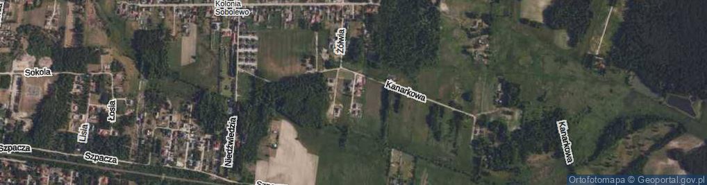 Zdjęcie satelitarne Przepiórcza ul.