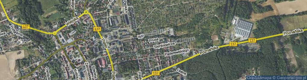 Zdjęcie satelitarne Prusa Bolesława ul.