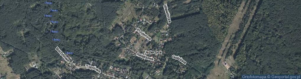 Zdjęcie satelitarne Przyjemna ul.