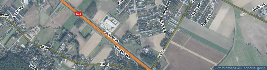 Zdjęcie satelitarne Przylesie ul.