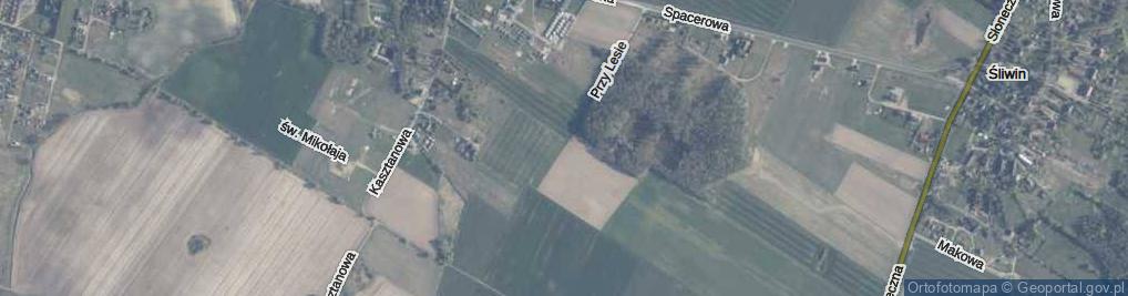 Zdjęcie satelitarne Przy Lesie ul.