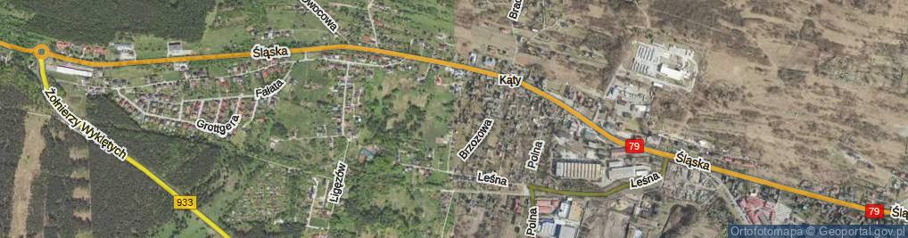 Zdjęcie satelitarne Pszczelna ul.