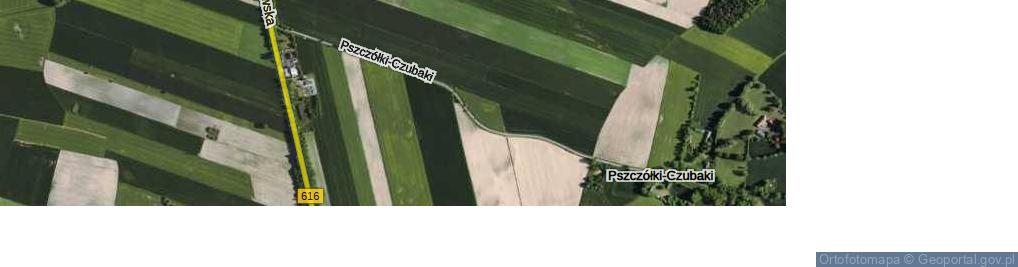 Zdjęcie satelitarne Pszczółki-Czubaki ul.
