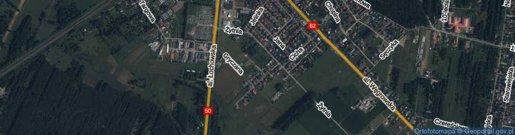 Zdjęcie satelitarne Pszenna ul.