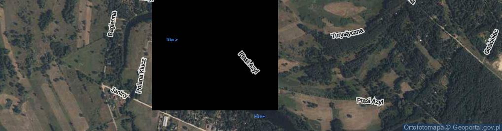 Zdjęcie satelitarne Ptasi Azyl ul.