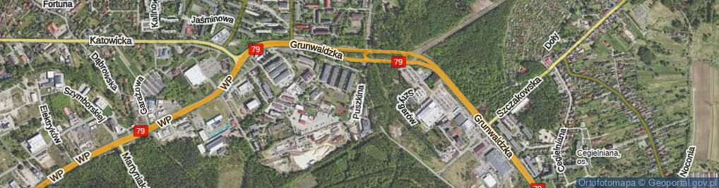 Zdjęcie satelitarne Puszkina Aleksandra ul.