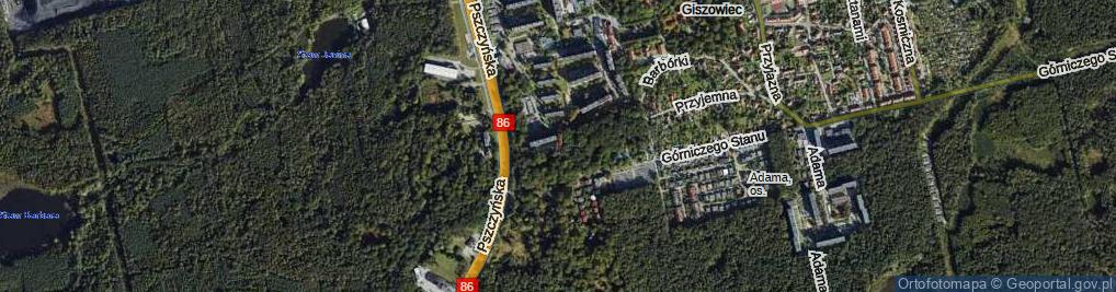 Zdjęcie satelitarne Purmana Leona ul.