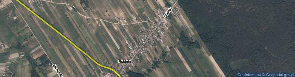 Zdjęcie satelitarne Pukinin ul.