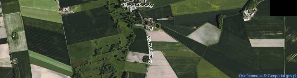 Zdjęcie satelitarne Purzyce-Rozwory ul.