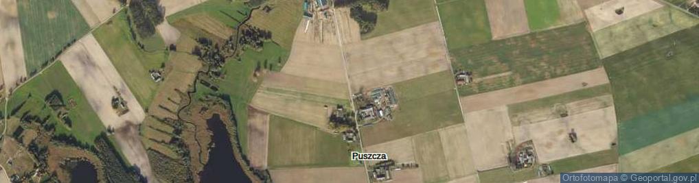 Zdjęcie satelitarne Puszcza ul.