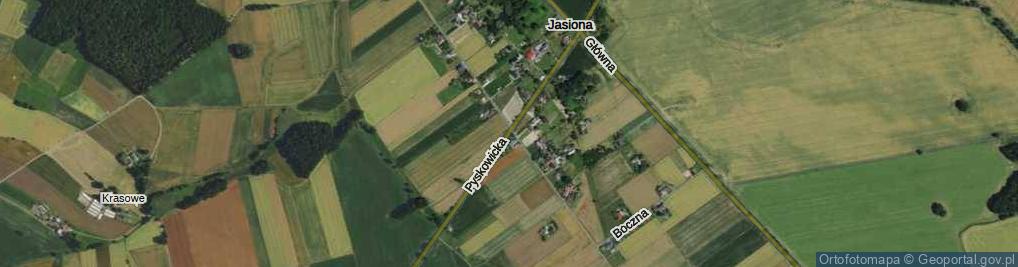 Zdjęcie satelitarne Pyskowicka ul.