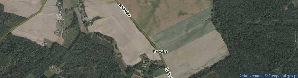 Zdjęcie satelitarne Radowice ul.