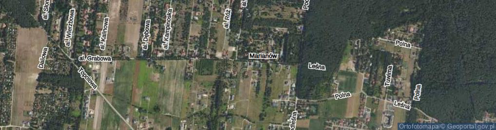 Zdjęcie satelitarne Radosna ul.