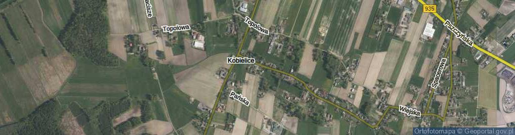 Zdjęcie satelitarne Radosna ul.