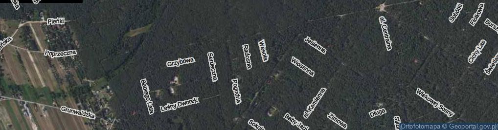 Zdjęcie satelitarne Radosna ul.