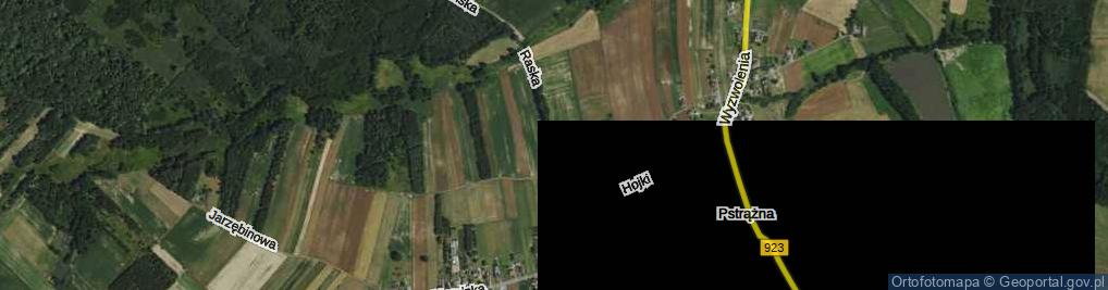 Zdjęcie satelitarne Raska Augustyna, ks. ul.