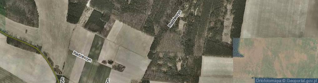 Zdjęcie satelitarne Radzieszyn ul.