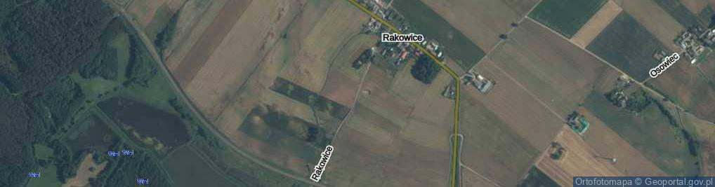 Zdjęcie satelitarne Rakowice ul.