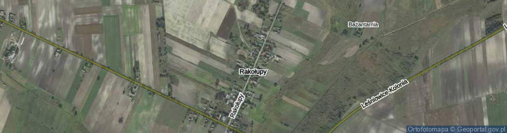 Zdjęcie satelitarne Rakołupy ul.