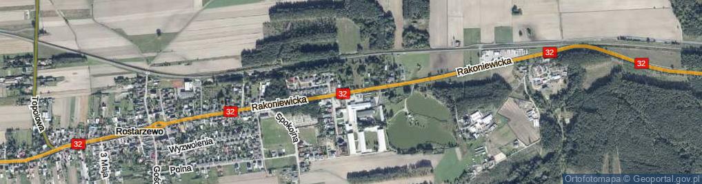 Zdjęcie satelitarne Rakoniewicka ul.