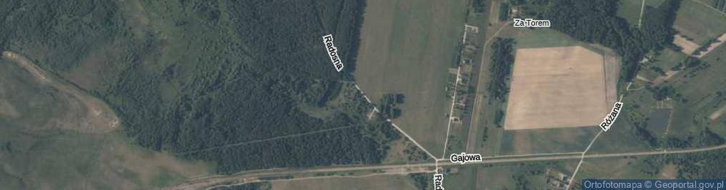 Zdjęcie satelitarne Radosna ul.