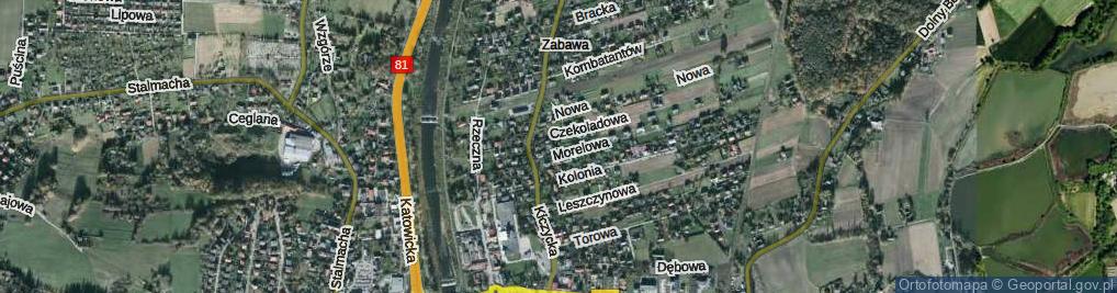 Zdjęcie satelitarne Raszki Andrzeja ul.