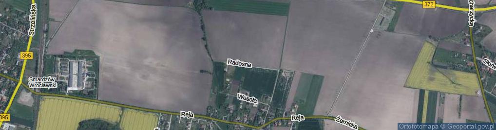 Zdjęcie satelitarne Radosna ul.