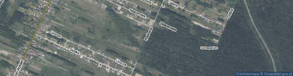 Zdjęcie satelitarne Radosna ul.