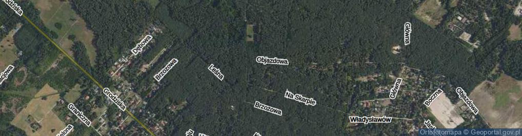 Zdjęcie satelitarne Rajska ul.