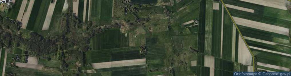 Zdjęcie satelitarne Rdułtowice ul.