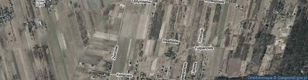 Zdjęcie satelitarne Realistów ul.