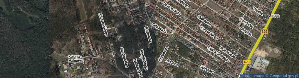 Zdjęcie satelitarne Reymonta Władysława ul.